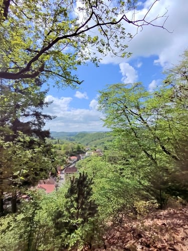Falkensteiner Schlucht und Burg Falkenstein