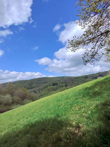 Falkensteiner Schlucht und Burg Falkenstein