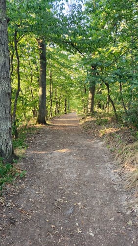 Zum Rotenfels und zur Bastei