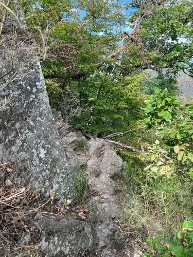 Aussichten um Altenahr