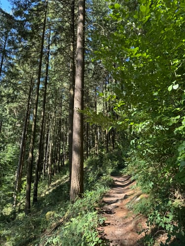 Dornröschen-Rundwanderweg