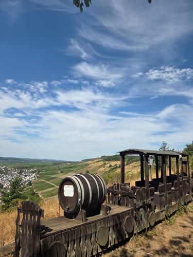 Weinbergwanderung in Mehring an der Mosel