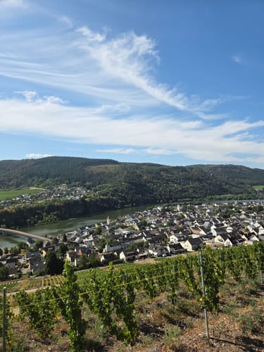 Weinbergwanderung in Mehring an der Mosel