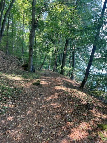 Rundweg um den Laacher See