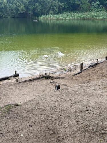 Krumme Lanke - Schlachtensee