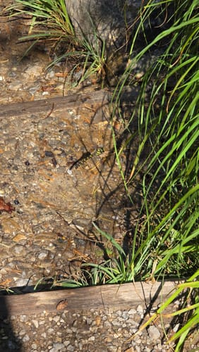 Walderlebnispfad Farchant und Kuhfluchtwasserfälle