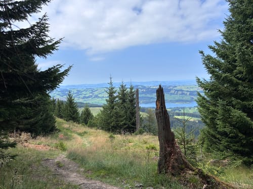 Kappeler Alp - Edelsberg - Alpspitze