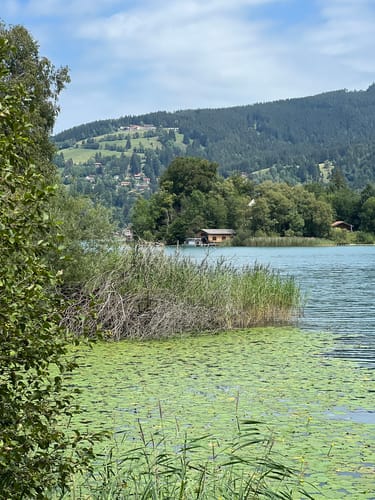Familientraumtour Baumerlebnispfad (Schliersee)