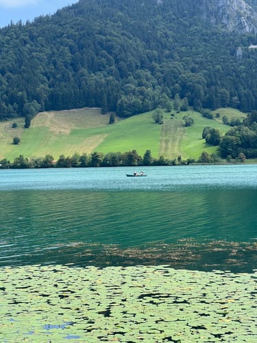 Familientraumtour Baumerlebnispfad (Schliersee)
