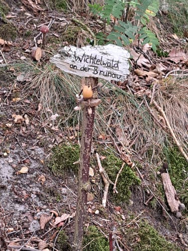 Müden - Hermannsburg