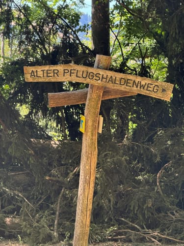 Schauinsland Rundweg