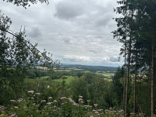 Externsteinen und Falkenburg Rundwanderung