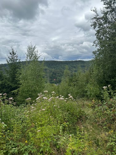 Externsteinen und Falkenburg Rundwanderung