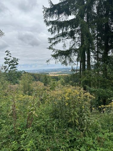 Externsteinen und Falkenburg Rundwanderung
