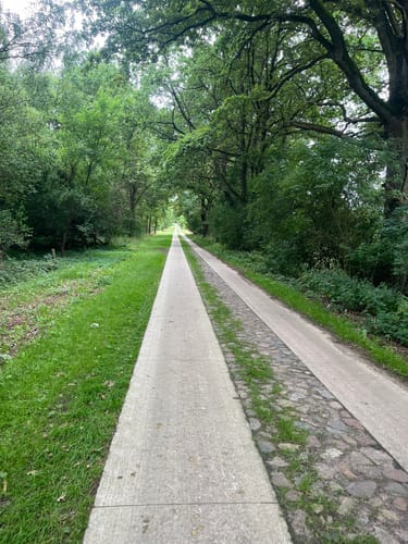Lenzen - Ferbitz - Wald