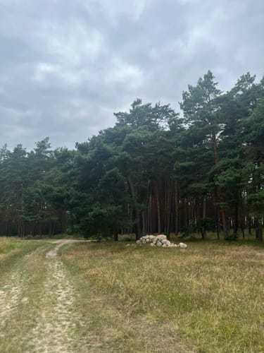 Lenzen - Ferbitz - Wald
