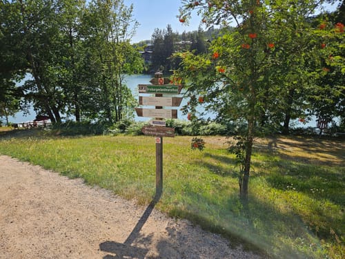 Schwammerlweg