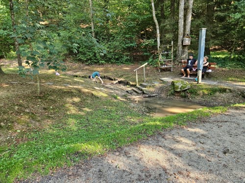 Schwammerlweg