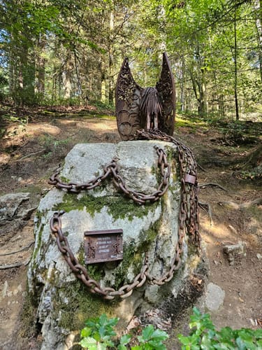 Schwammerlweg