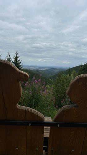Liebesbankweg (Premiumwanderweg)
