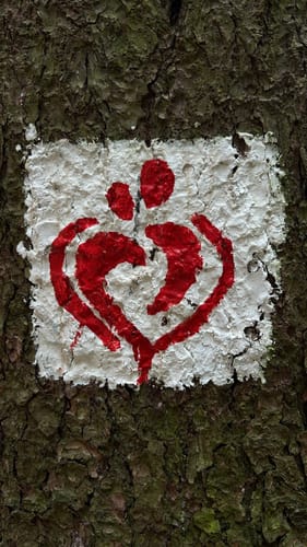 Liebesbankweg (Premiumwanderweg)