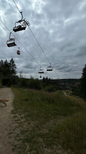 Liebesbankweg (Premiumwanderweg)