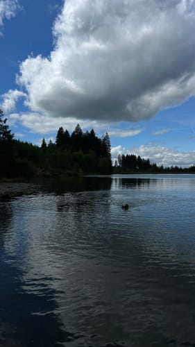Liebesbankweg (Premiumwanderweg)