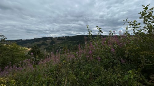 Liebesbankweg (Premiumwanderweg)