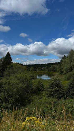 Liebesbankweg (Premiumwanderweg)