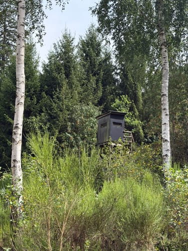 Ölmühlentour (Traumschleife)