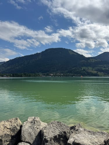 Vom Alpsee zur Siedelalpe