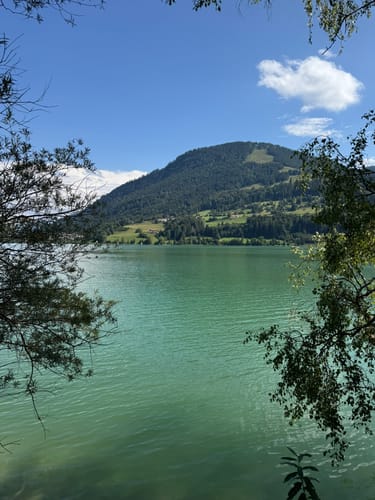 Vom Alpsee zur Siedelalpe