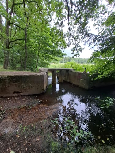 Müden - Hermannsburg