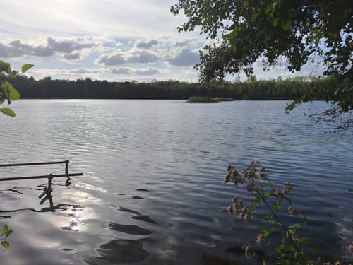Donatussee -Obersee Runde von Erftstadt