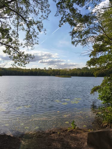 Donatussee -Obersee Runde von Erftstadt