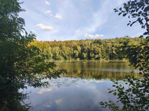 Donatussee -Obersee Runde von Erftstadt