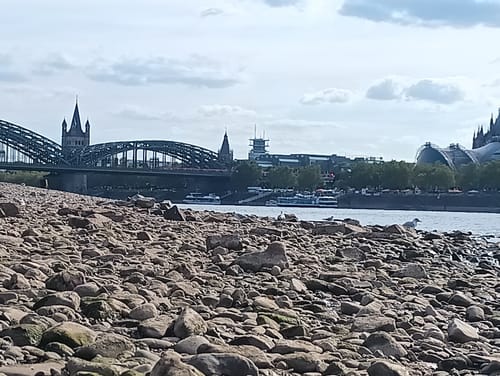 Köln Rundweg: Rheinpark - Skulpturenpark - Kölner Dom