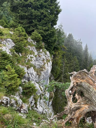 Benediktenwand ab Jachenau