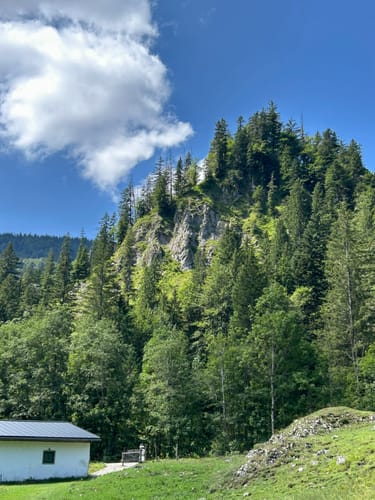 Benediktenwand ab Jachenau