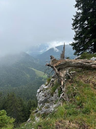 Benediktenwand ab Jachenau