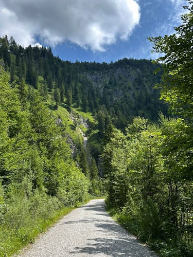 Benediktenwand ab Jachenau