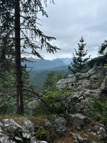 Benediktenwand ab Jachenau