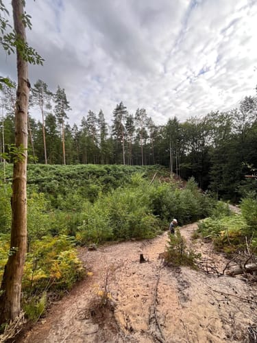Romantisches Furlbachtal