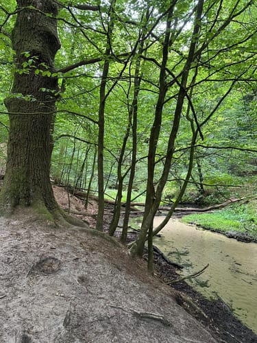Romantisches Furlbachtal