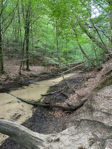 Romantisches Furlbachtal