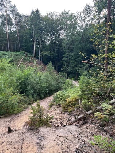Romantisches Furlbachtal