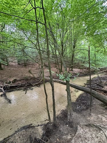 Romantisches Furlbachtal