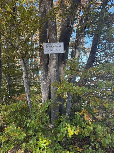 Tieringer Hörnle (HochAlbPfad)
