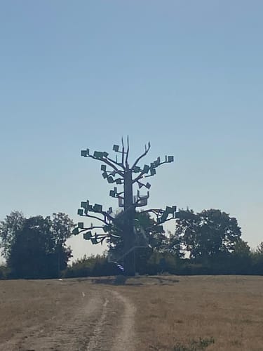 CTF StaufenBike Tour 3 – 34 km