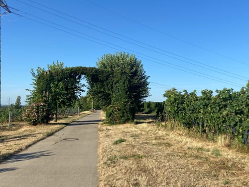 CTF StaufenBike Tour 3 – 34 km